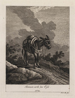 KG 01079
          <br/>
          Entwurf einiger Maulthiere und Esel. Siebender Theil. (18 bladen)
          <br/>
          <em>Ridinger, Johann Elias (1698-1767)</em>